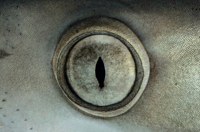 40 Ocean Shots That Totally Make You Feel the Sea’s Magic