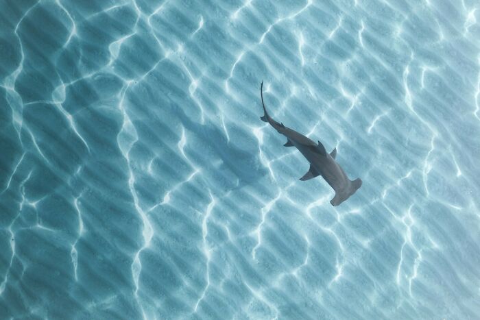 40 Ocean Shots That Totally Make You Feel the Sea’s Magic