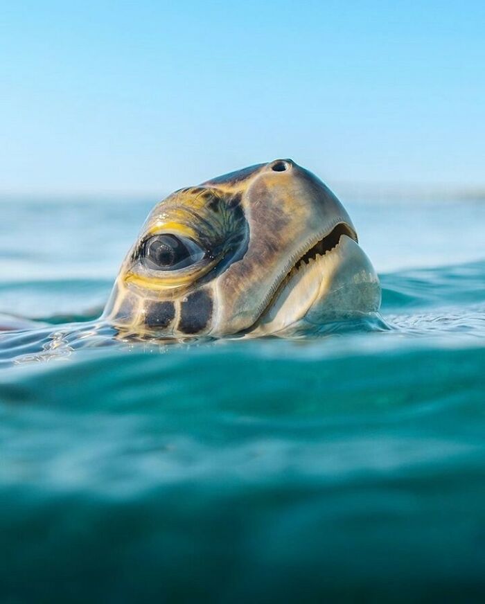 40 Ocean Shots That Totally Make You Feel the Sea’s Magic