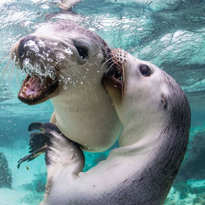 40 Ocean Shots That Totally Make You Feel the Sea’s Magic