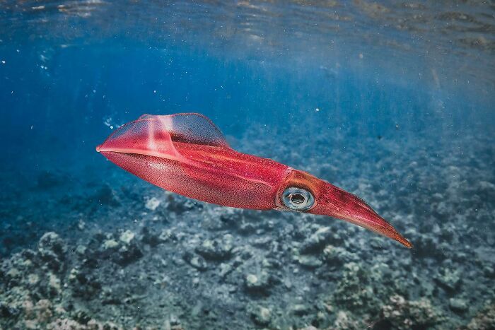 40 Ocean Shots That Totally Make You Feel the Sea’s Magic