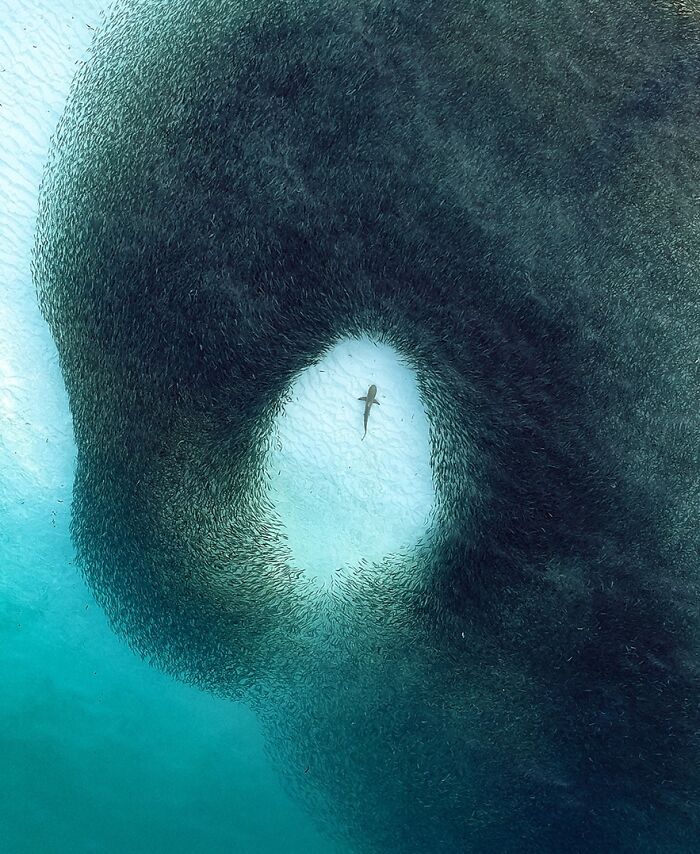 40 Ocean Shots That Totally Make You Feel the Sea’s Magic