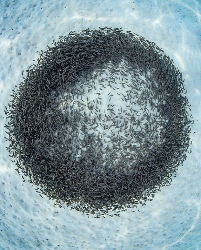 40 Ocean Shots That Totally Make You Feel the Sea’s Magic