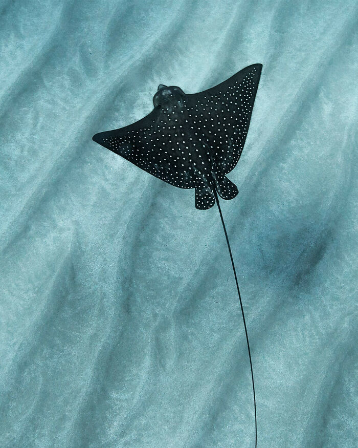 40 Ocean Shots That Totally Make You Feel the Sea’s Magic