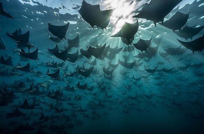 40 Ocean Shots That Totally Make You Feel the Sea’s Magic