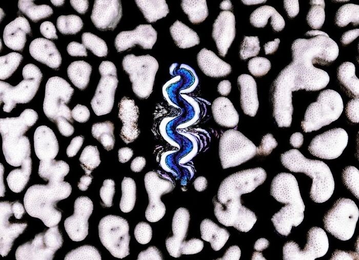 40 Ocean Shots That Totally Make You Feel the Sea’s Magic