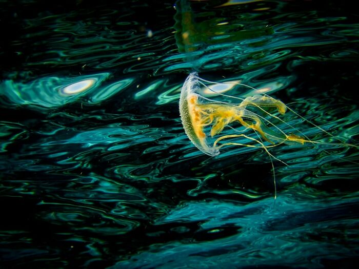 40 Ocean Shots That Totally Make You Feel the Sea’s Magic