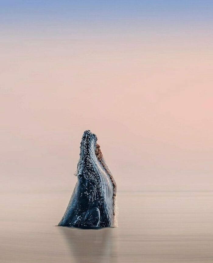 40 Ocean Shots That Totally Make You Feel the Sea’s Magic