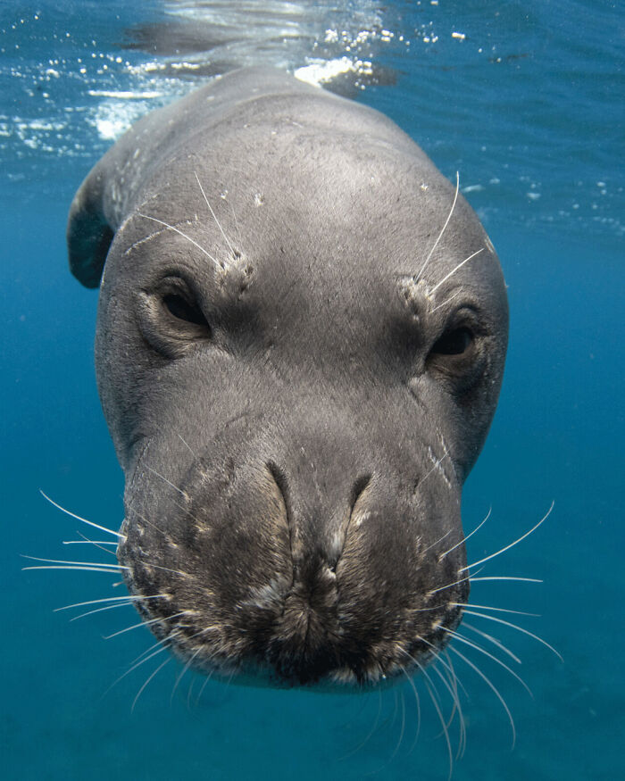 40 Ocean Shots That Totally Make You Feel the Sea’s Magic