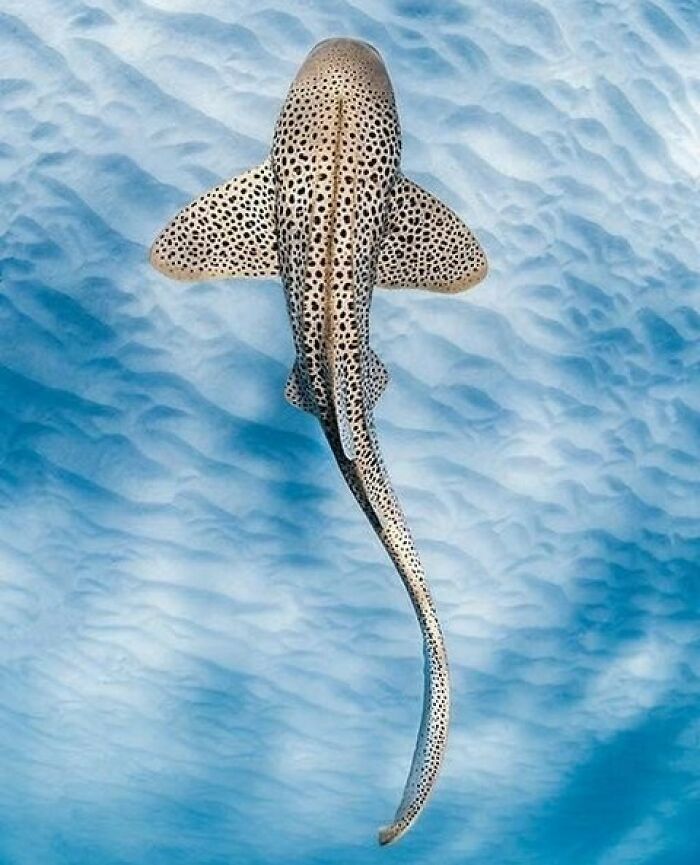 40 Ocean Shots That Totally Make You Feel the Sea’s Magic