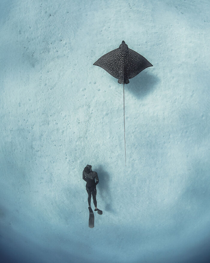 40 Ocean Shots That Totally Make You Feel the Sea’s Magic