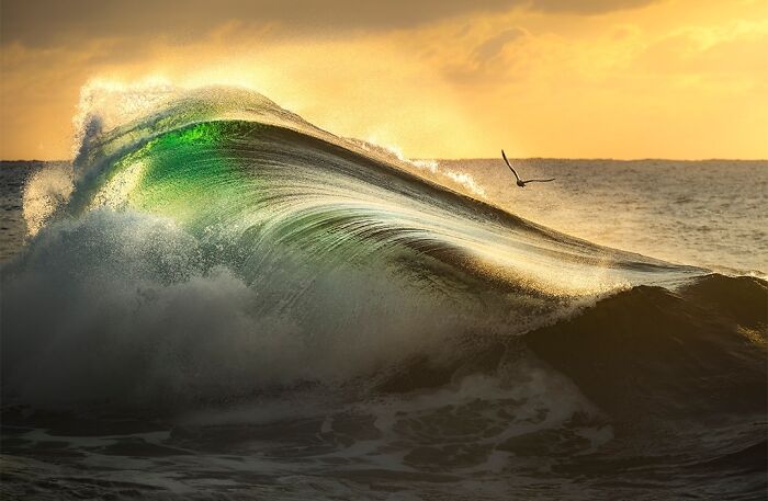 40 Ocean Shots That Totally Make You Feel the Sea’s Magic
