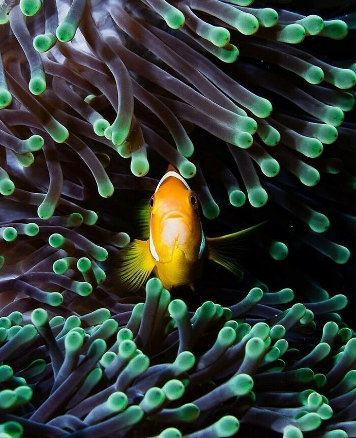 40 Ocean Shots That Totally Make You Feel the Sea’s Magic