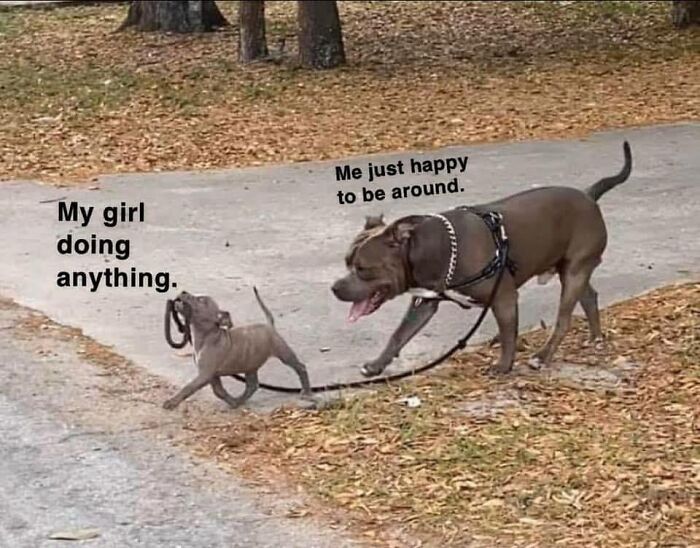 Let's Dive into These 30+ Hilarious Couple Memes That'll Make You LOL (And Maybe Send One to Your S.O.)