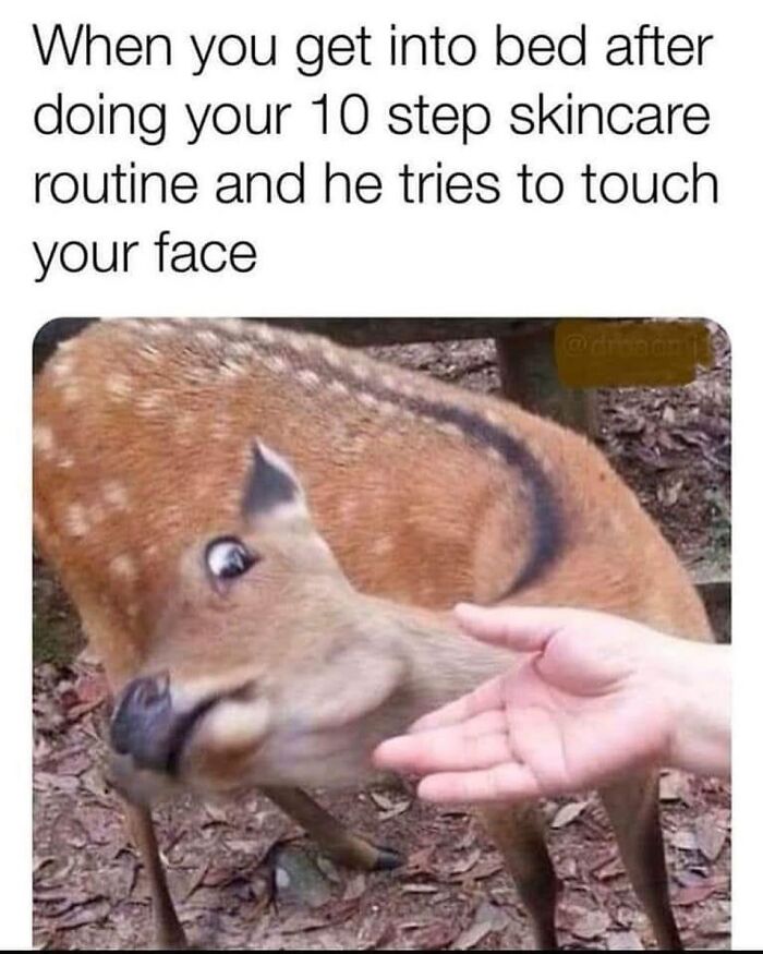 Let's Dive into These 30+ Hilarious Couple Memes That'll Make You LOL (And Maybe Send One to Your S.O.)