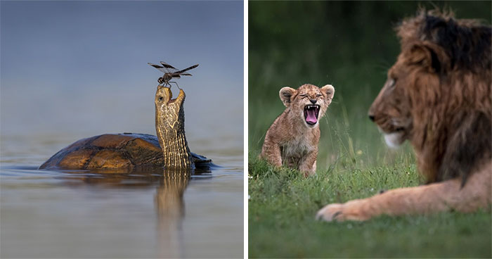 The 41 Most Jaw-Dropping Photos You’ll See Today