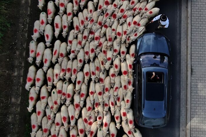 The 41 Most Jaw-Dropping Photos You’ll See Today