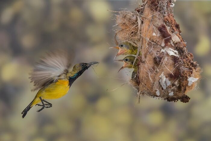 The 41 Most Jaw-Dropping Photos You’ll See Today
