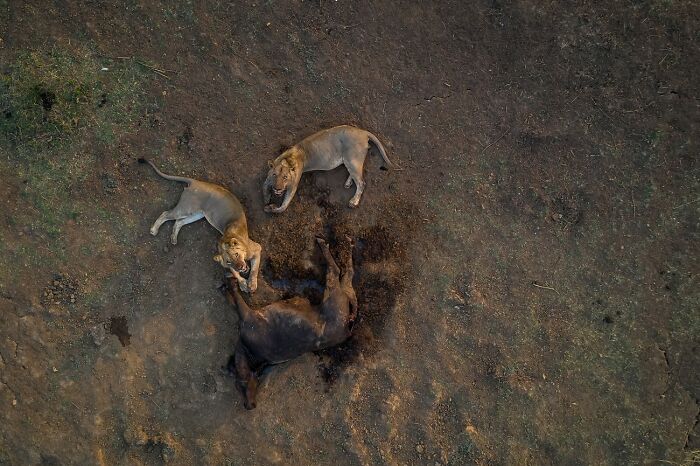 The 41 Most Jaw-Dropping Photos You’ll See Today