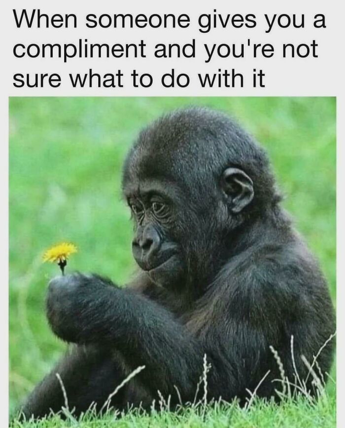 Memes That Totally Get What It’s Like to Be Neurodivergent