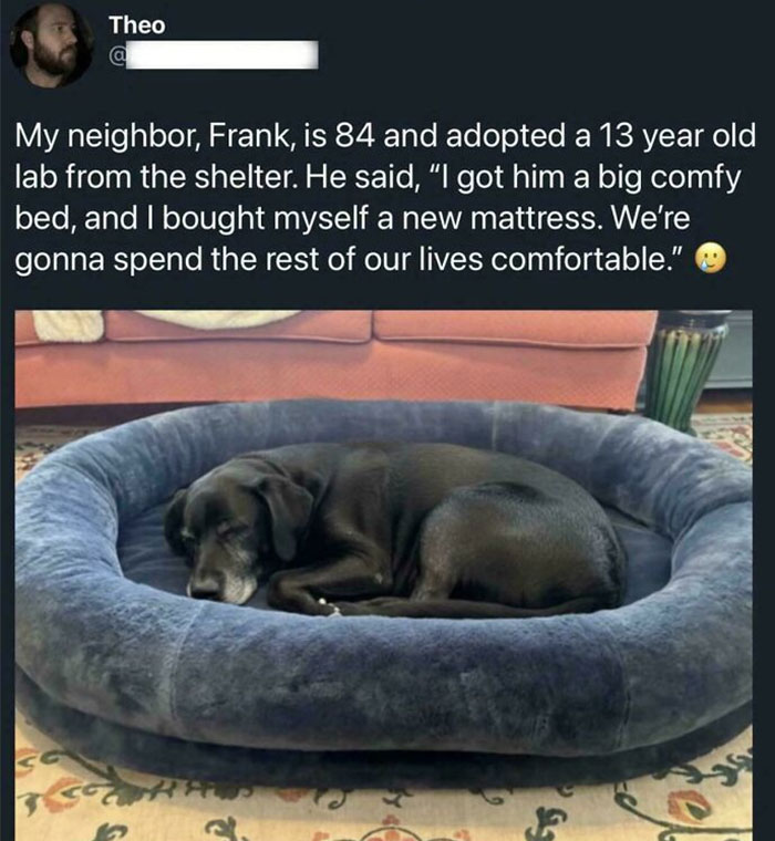 Protect Frank Like Your Life Depends On It