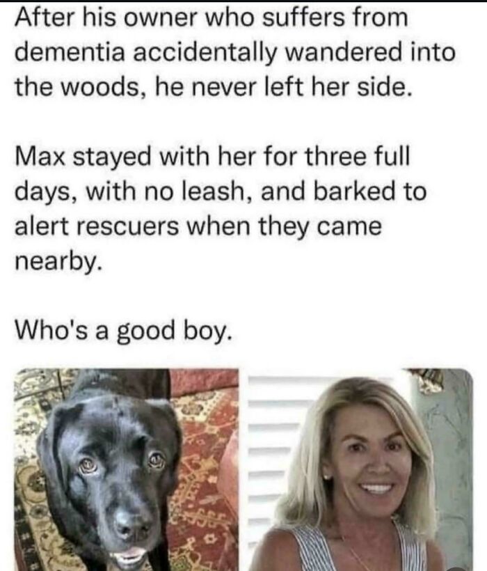 Max Is Basically The Goodest Boy