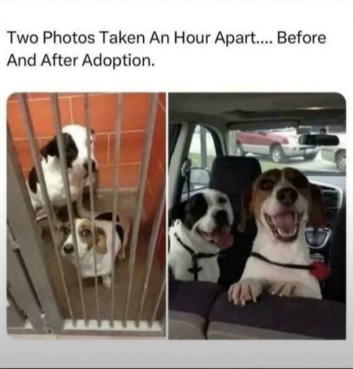 This Is What Life Goals Look Like