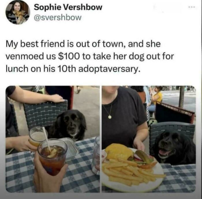 He Just Looks So Happy!