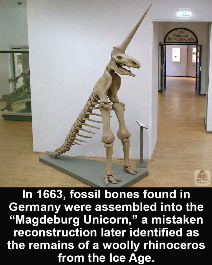 79 Mind-Blowing Old Things That Somehow Made It Till Today