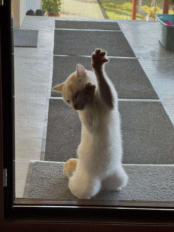 Drama Much? He’s Basically a Soap Opera Star