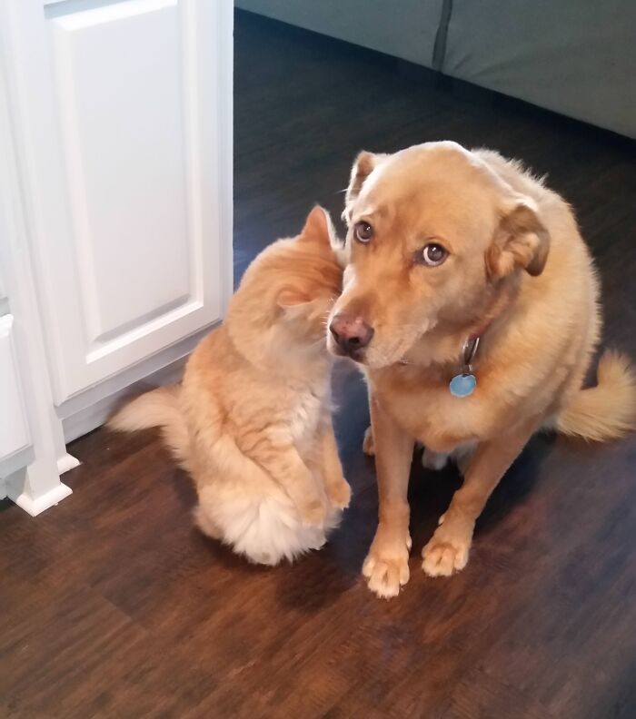 The Mystery of the Broken Thing... Still Unsolved