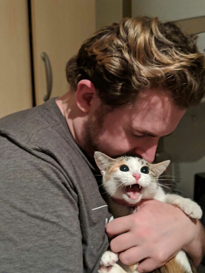 Pets Losing It Over Nothing? You Bet!