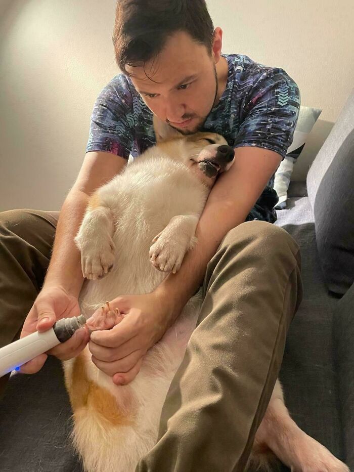 Pets Losing It Over Nothing? You Bet!