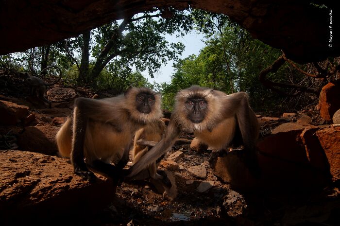 Nayan Khanolkar’s Cool Shot