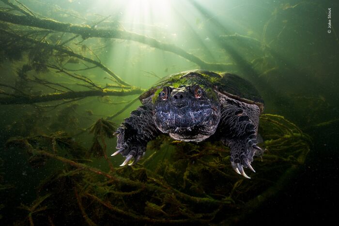 Jake Stout’s Nature Moment