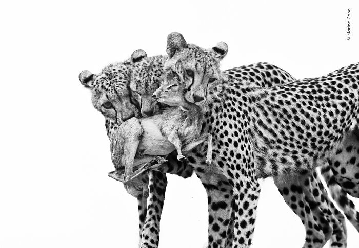 Marina Cano’s Nature Moment