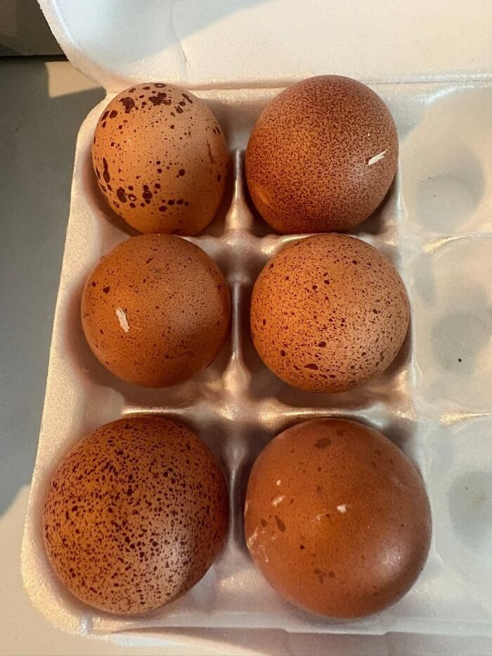 20 Egg Decorating Hacks That Make Basic Dye Kits Look Boring