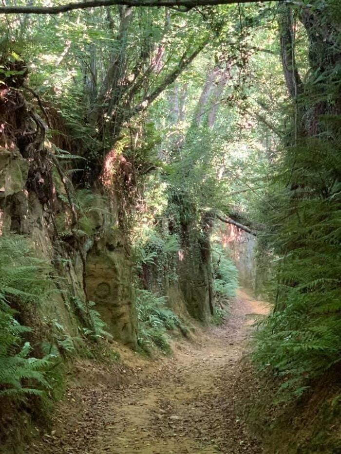Hell Lane In Dorset, England: A Road Cut Deep Into History