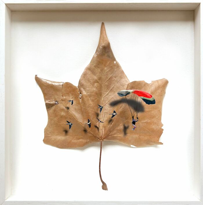 “Follow Your Dreams And Many Other Things”