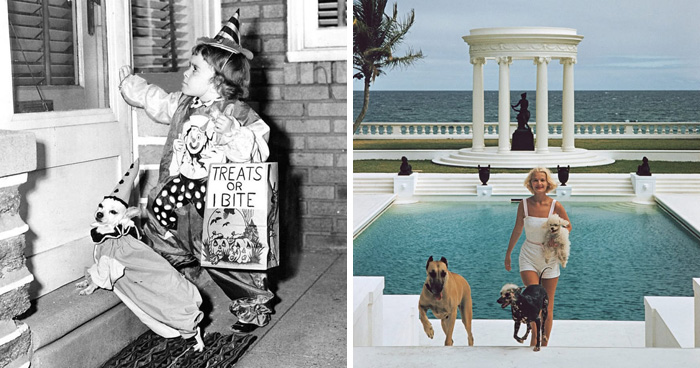 45 Vintage Dog Pics That Prove Man’s Best Buddy Hasn’t Changed a Bit