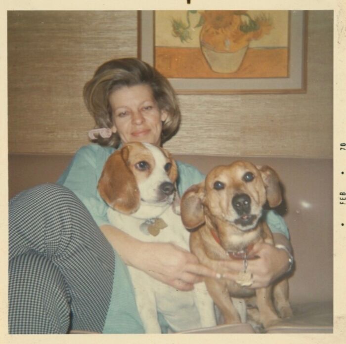 45 Vintage Dog Pics That Prove Man’s Best Buddy Hasn’t Changed a Bit