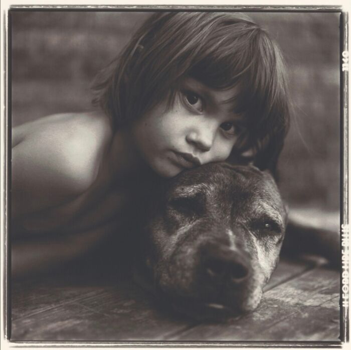 45 Vintage Dog Pics That Prove Man’s Best Buddy Hasn’t Changed a Bit