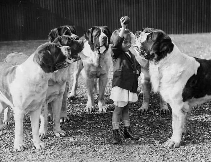 45 Vintage Dog Pics That Prove Man’s Best Buddy Hasn’t Changed a Bit