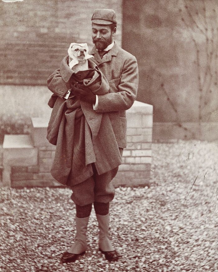 45 Vintage Dog Pics That Prove Man’s Best Buddy Hasn’t Changed a Bit