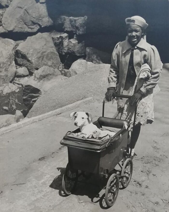 45 Vintage Dog Pics That Prove Man’s Best Buddy Hasn’t Changed a Bit