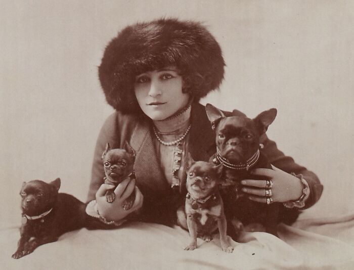 45 Vintage Dog Pics That Prove Man’s Best Buddy Hasn’t Changed a Bit