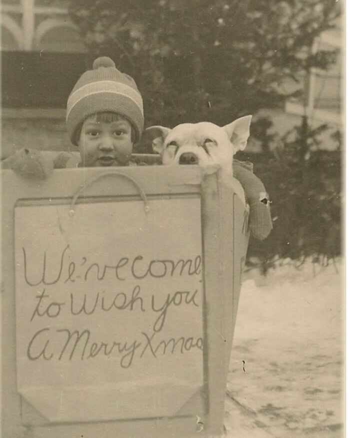 45 Vintage Dog Pics That Prove Man’s Best Buddy Hasn’t Changed a Bit