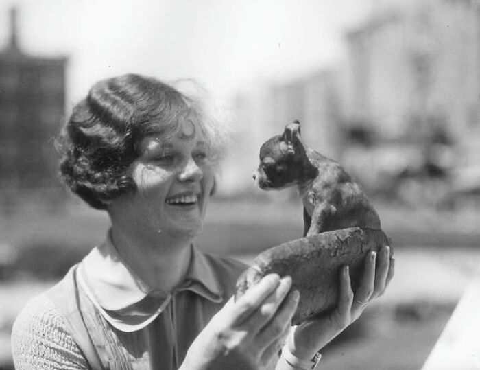 45 Vintage Dog Pics That Prove Man’s Best Buddy Hasn’t Changed a Bit