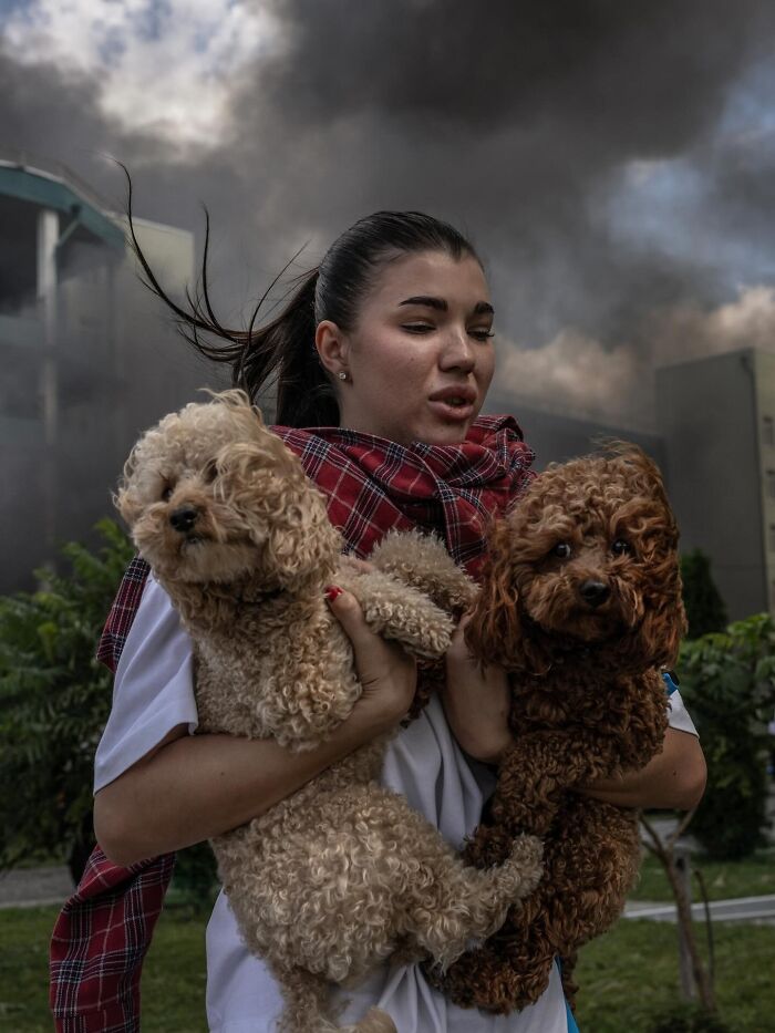 45 Vintage Dog Pics That Prove Man’s Best Buddy Hasn’t Changed a Bit