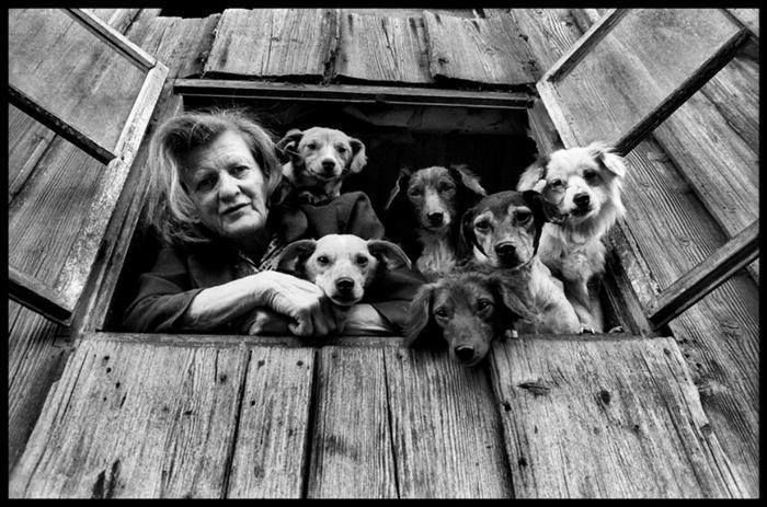 45 Vintage Dog Pics That Prove Man’s Best Buddy Hasn’t Changed a Bit